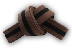 Brown Black Stripe Belts